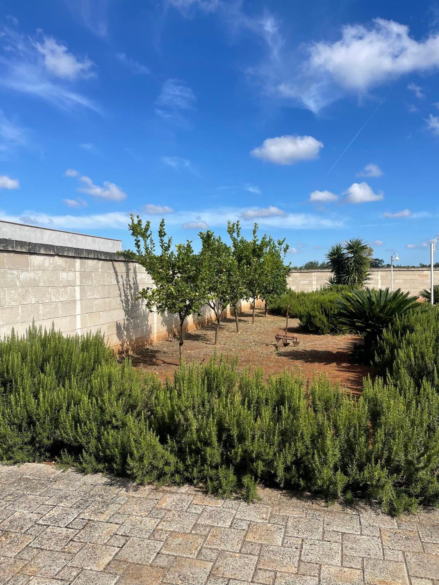 Masseria Don Bonifacio Castellana Grotte Ngoại thất bức ảnh