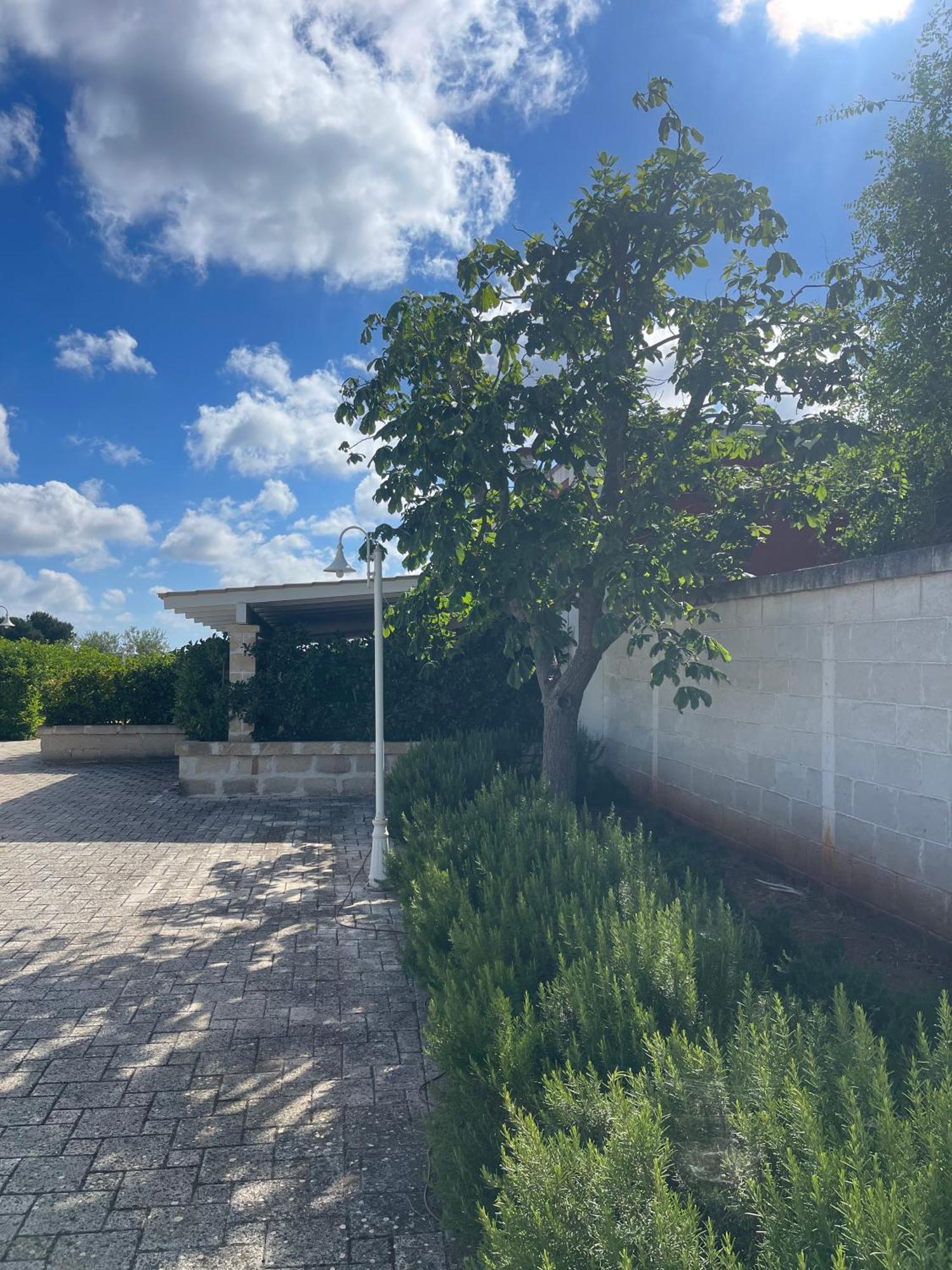Masseria Don Bonifacio Castellana Grotte Ngoại thất bức ảnh