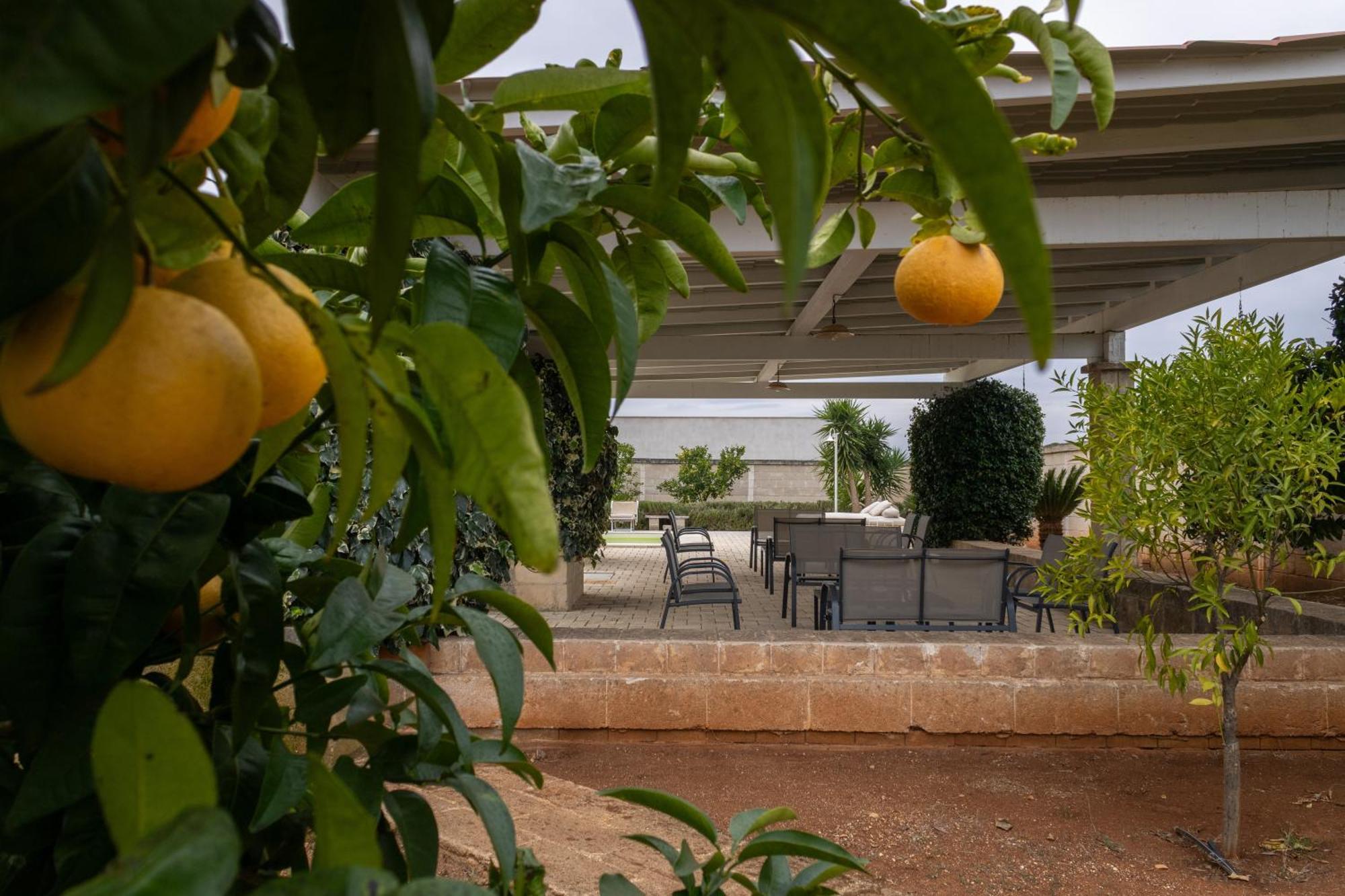 Masseria Don Bonifacio Castellana Grotte Ngoại thất bức ảnh